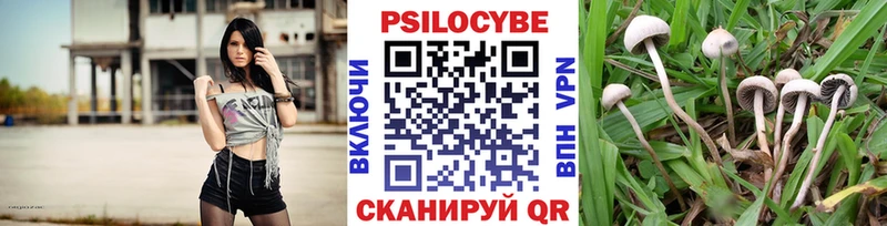 ОМГ ОМГ рабочий сайт где продают Николаевск-на-Амуре Псилоцибиновые грибы ЛСД